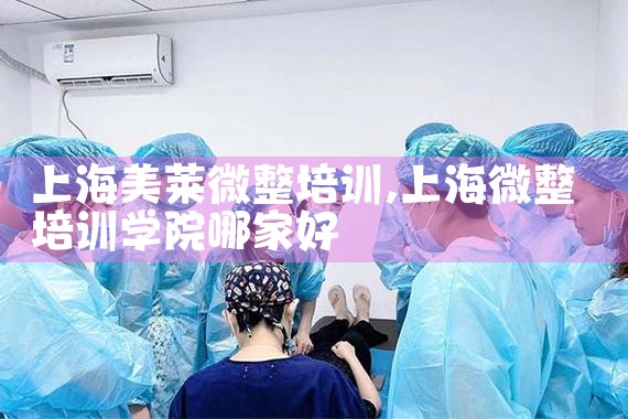 上海美莱微整培训