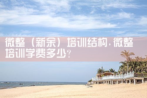 微整(新余)培训结构