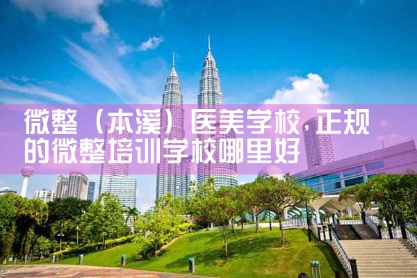 微整(壮族苗族自治州)培训结构