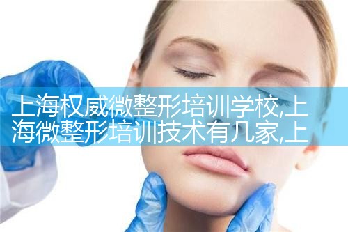 上海权威微整形培训学校