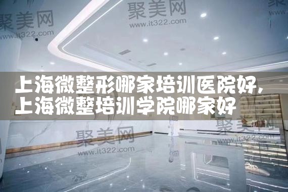 上海伊美国际微整形培训学校