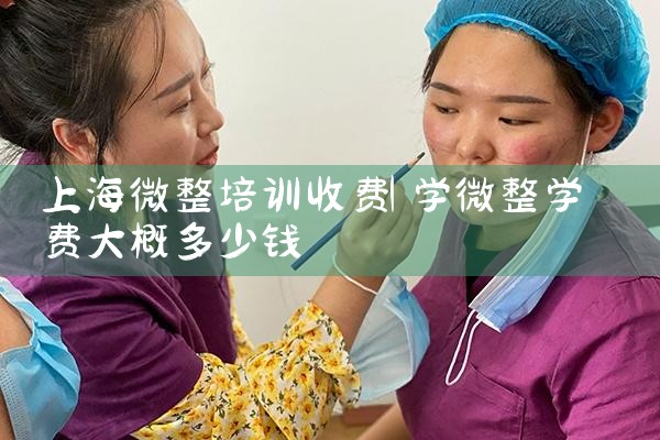 上海美容微整形培训有哪家