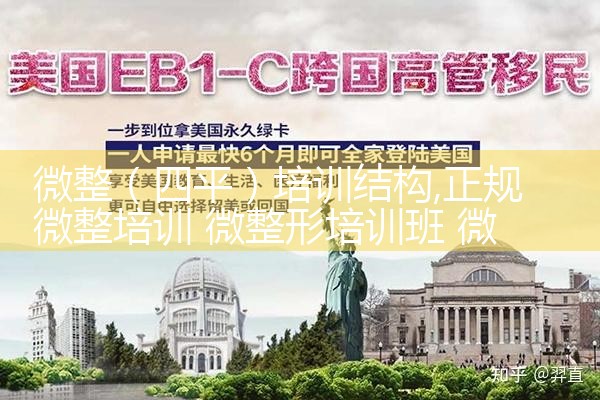 ΢������ƽ����ѵ�ṹ