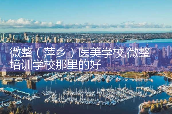 微整(东营)培训结构