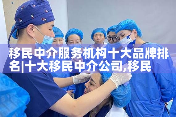 全国所有的投资移民中介排名