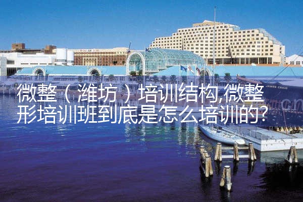 微整(黄石)培训结构