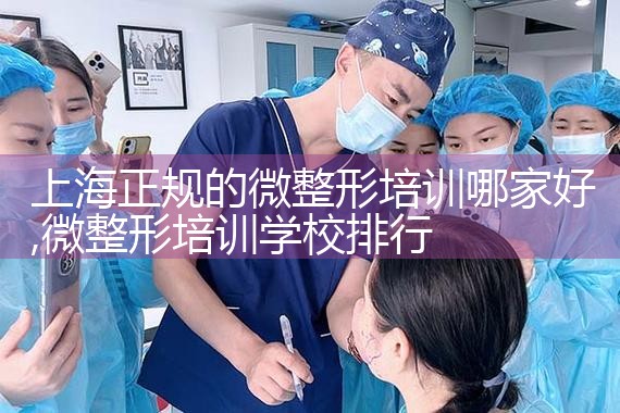 上海正规的微整形培训哪家好