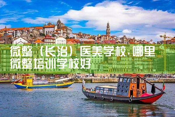微整(鞍山)医美学校