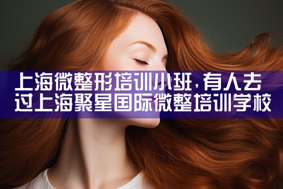 上海微整形培训小班
