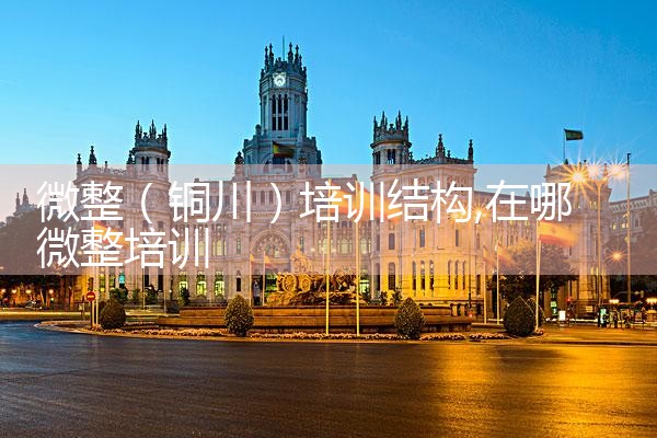 微整(衡水)培训结构