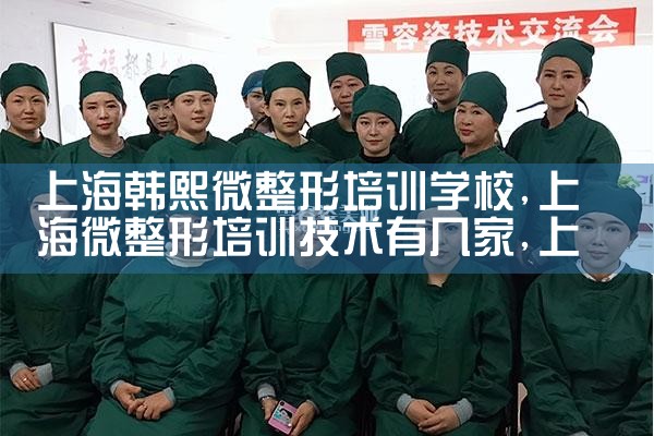 上海韩熙微整形培训学校