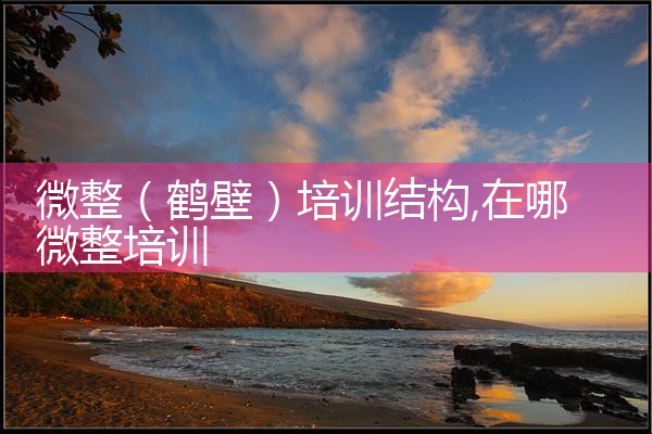 微整(鹤壁)培训结构