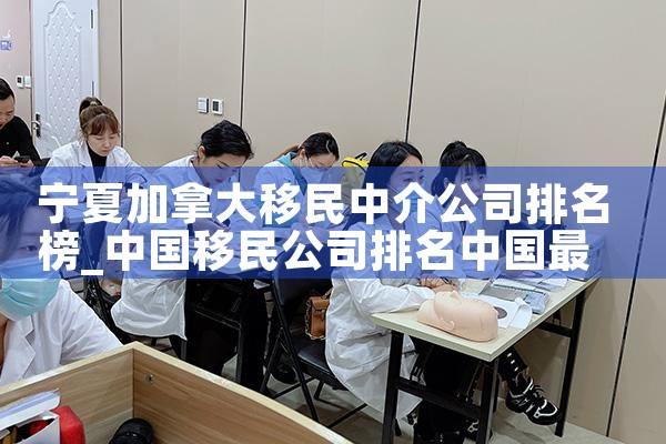 银河移民中介排名前十