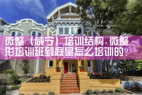 微整(咸宁)培训结构