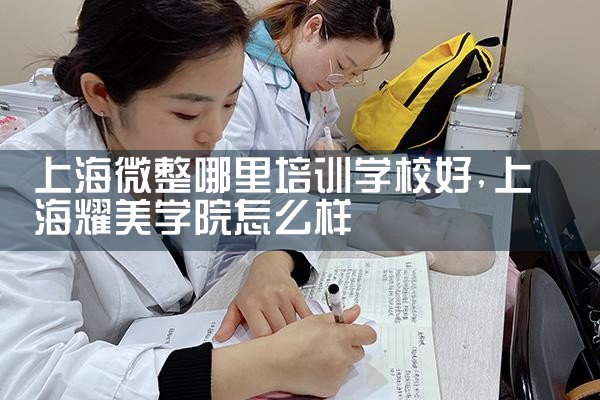 上海微整哪里培训学校好