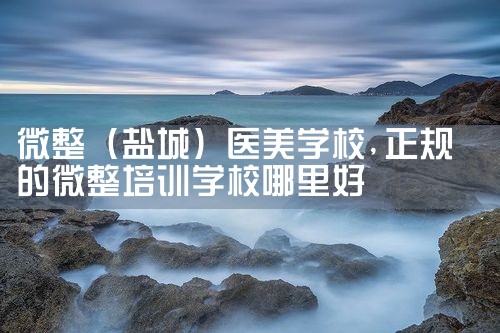 微整(盐城)医美学校