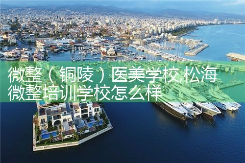 微整(宜宾)培训结构