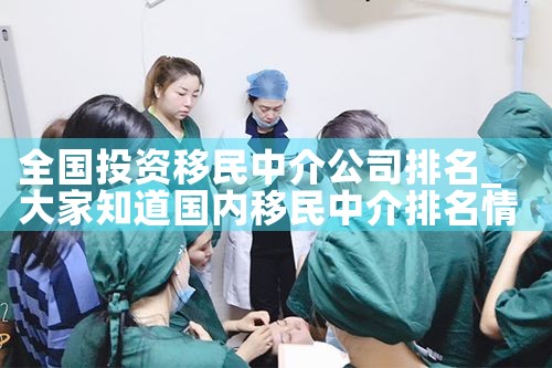 全国投资移民中介公司排名