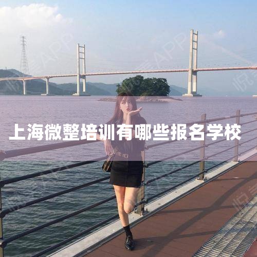 ѧҽ��ȥ����ѧ�ȽϺ�_�Ϻ��ļ�΢����ѵѧУ��,΢����ѵ��������,�Ϻ�ҫ��ѧԺ���������_�Ϻ����ʹ���΢����ѵѧУ��ʲô�ط�