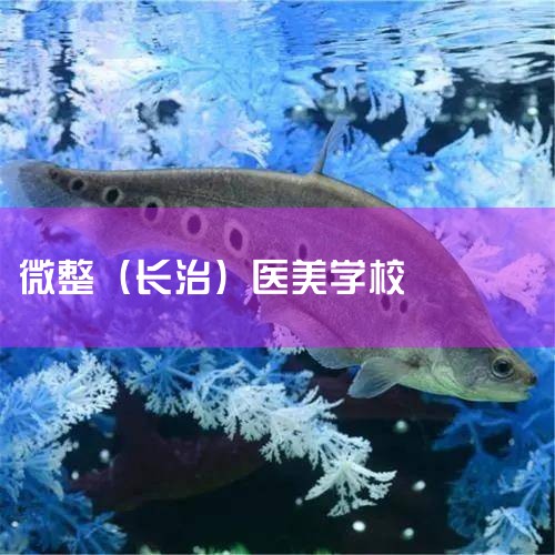 ΢ѵѧУĺ,΢ѵѧУ