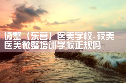 微整(东营)医美学校