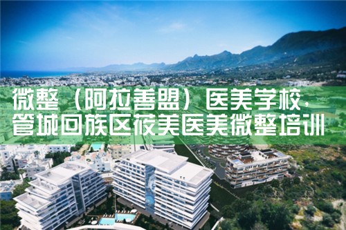 微整(株洲)培训结构