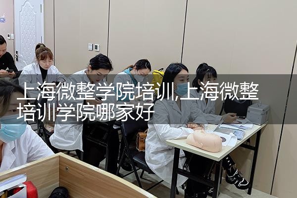 上海微整学院培训
