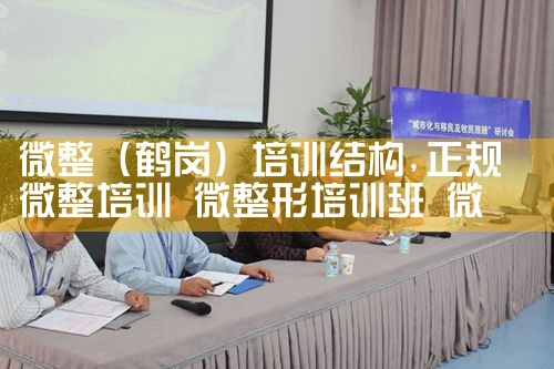 微整(果洛藏族自治州)培训结构