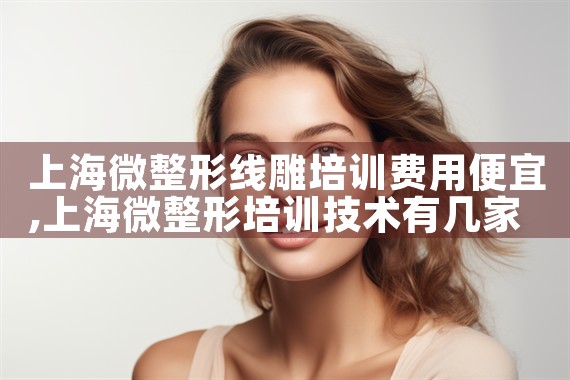 �Ϻ�΢�����ߵ���ѵ���ñ���