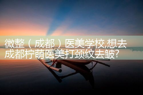 微整(阿克苏地区)培训结构