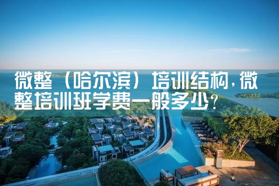 微整(哈尔滨)培训结构