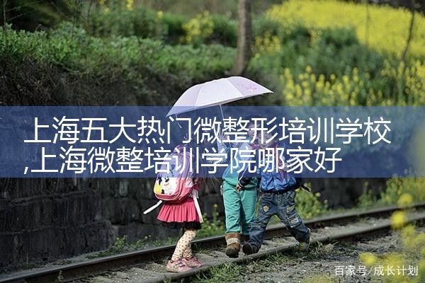 上海五大热门微整形培训学校