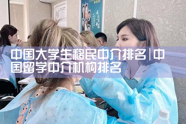 中国大学生移民中介排名