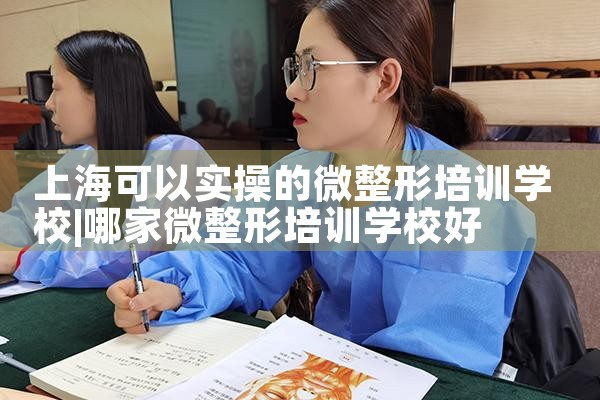 �Ϻ�����ʵ�ٵ�΢������ѵѧУ