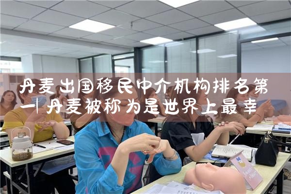 北京排名前十移民中介排名