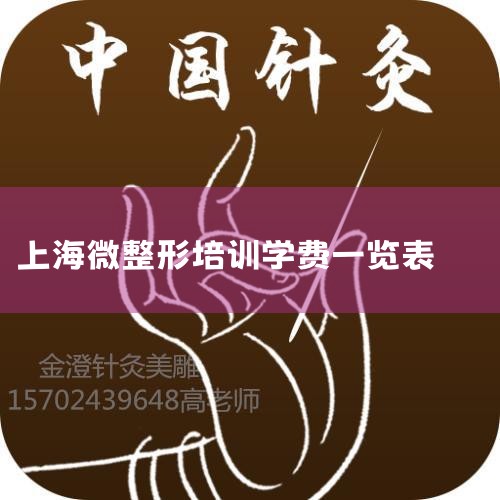 1Ϻϵ΢ѵѧһרע΢μѵΪйҽҵṩϵͳǰأϸµѵȫ΢ѵ࣬˽ѵ࣬гӪȵȡ2УλϺлϾ·