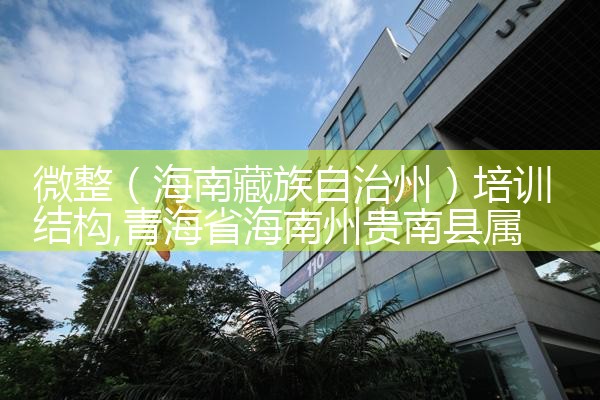微整(海南藏族自治州)培训结构
