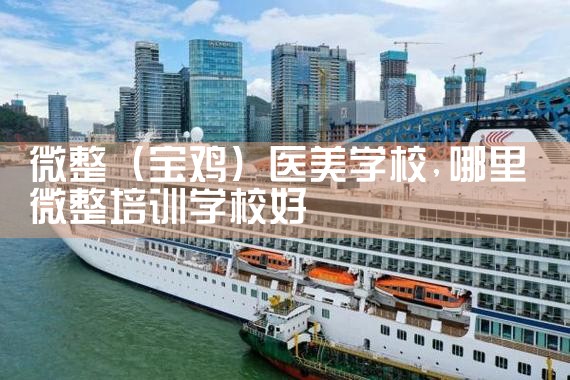 微整(上海)培训结构