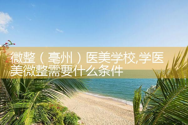 微整(红河哈尼族彝族自治州)培训结构