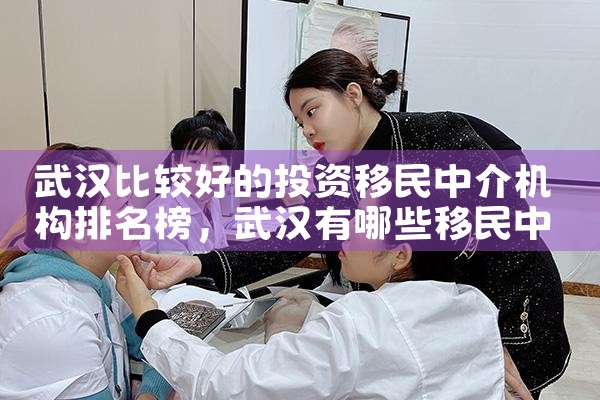 武汉比较好的投资移民中介机构排名榜