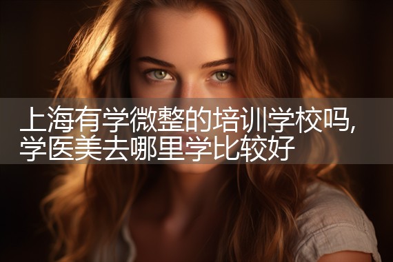 上海有学微整的培训学校吗
