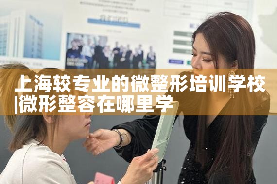 �Ϻ���רҵ��΢������ѵѧУ