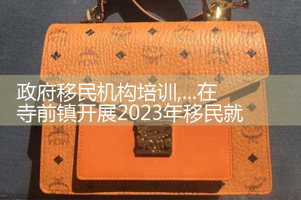 政府移民机构培训