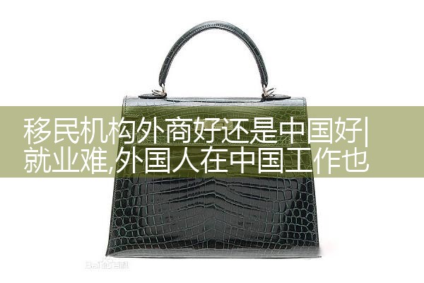 移民机构外商好还是中国好