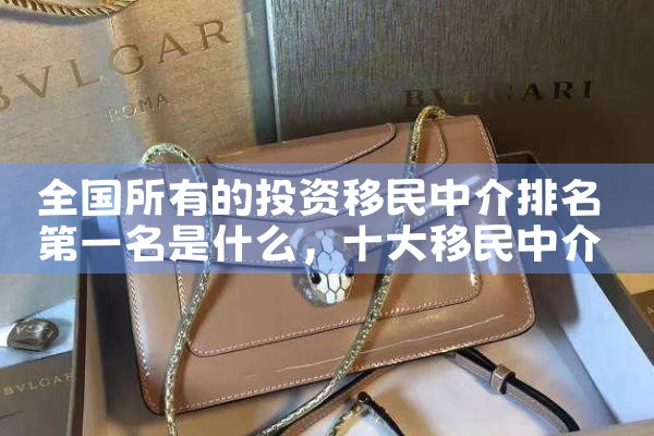 全国所有的投资移民中介排名第一名是什么