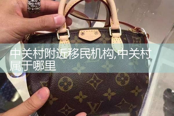 中关村附近移民机构