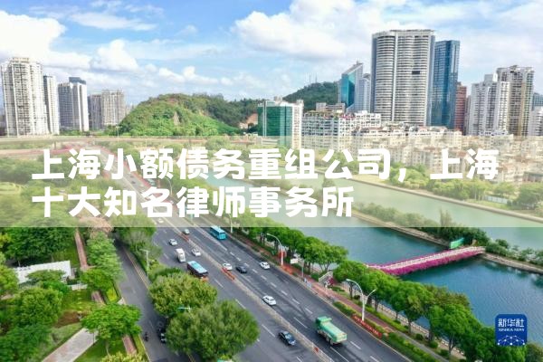 上海小额债务重组公司