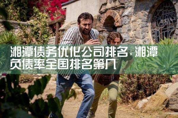 ��������ծ���Ż���˾����Щ