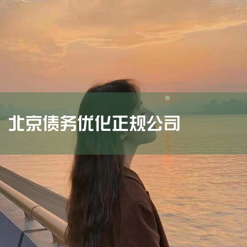ծ˾ǷǷģĿǰ̵ǼǷΧûдծծĿϽծ˾Ǽǣݷɹ涨ծӦͨЭ̡ٲáϵȷʽίʦȲԷЭ̡ծ˾ȡծΥģȨ