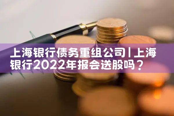 上海银行债务重组公司